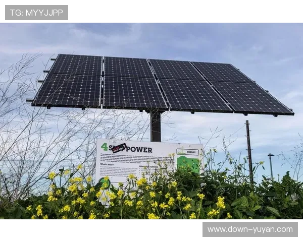 德甲环保倡议，球场太阳能项目落地